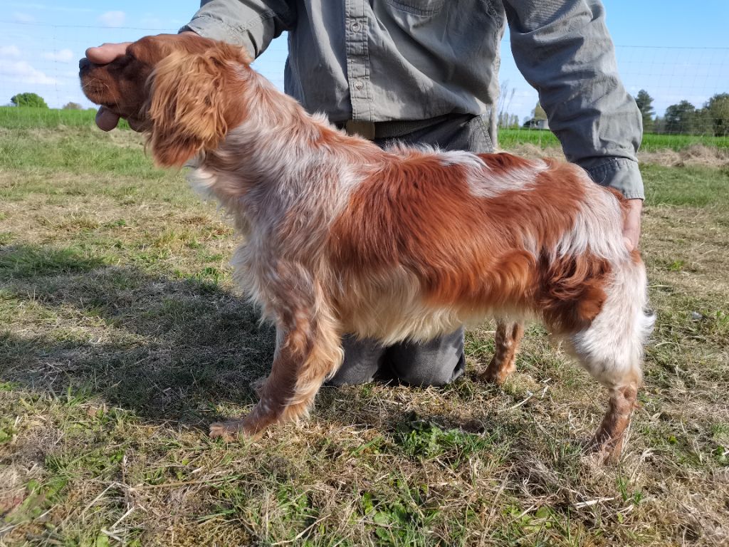 Ogive des sablières de cadeuil