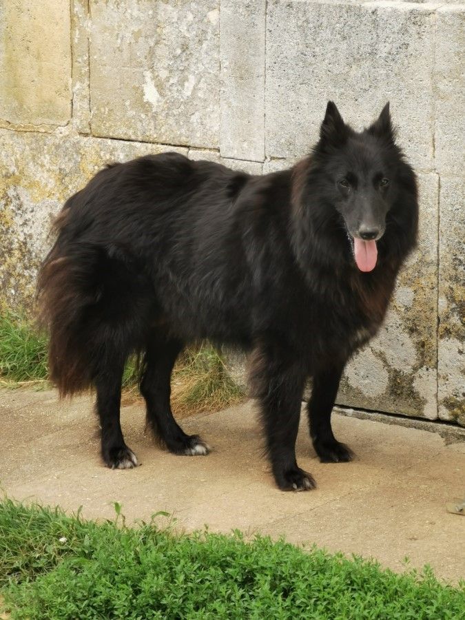 Nuage dite nikita Des anges gardiens de la grace